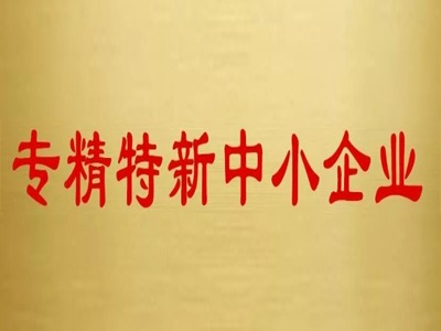 專精特新中小企業(yè)認(rèn)定有哪些條件?